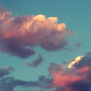 Meet your Posher, Brady